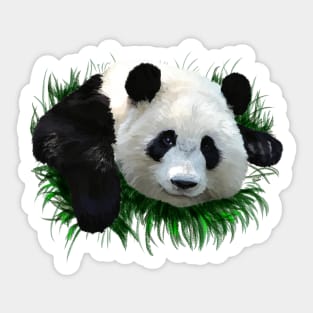 Panda Sticker